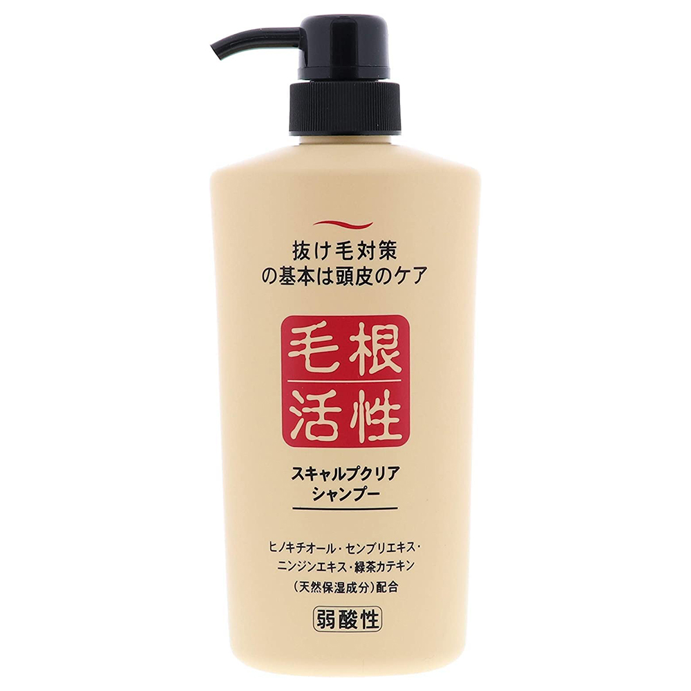 JUN YAKU 毛根活性洗髮精550ml